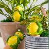 4pcs Self-Watering Terracotta Frog Planter for Indoor Outdoor Plant Reservoir