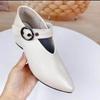 Fashion Shoes New Pointed Toe Sexy Chunky Heels Women Shoes Female Retro Belt Buckle Black High Heels Shoes Chaussure Femme 2024