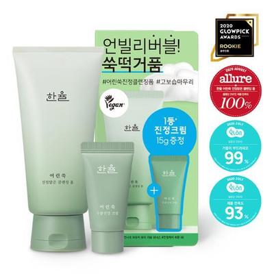 Artemisia Soothing Clear Reinigungsschaum Spezialset (120 g Schaum + 15 g feuchtigkeitsspendende, beruhigende Creme)