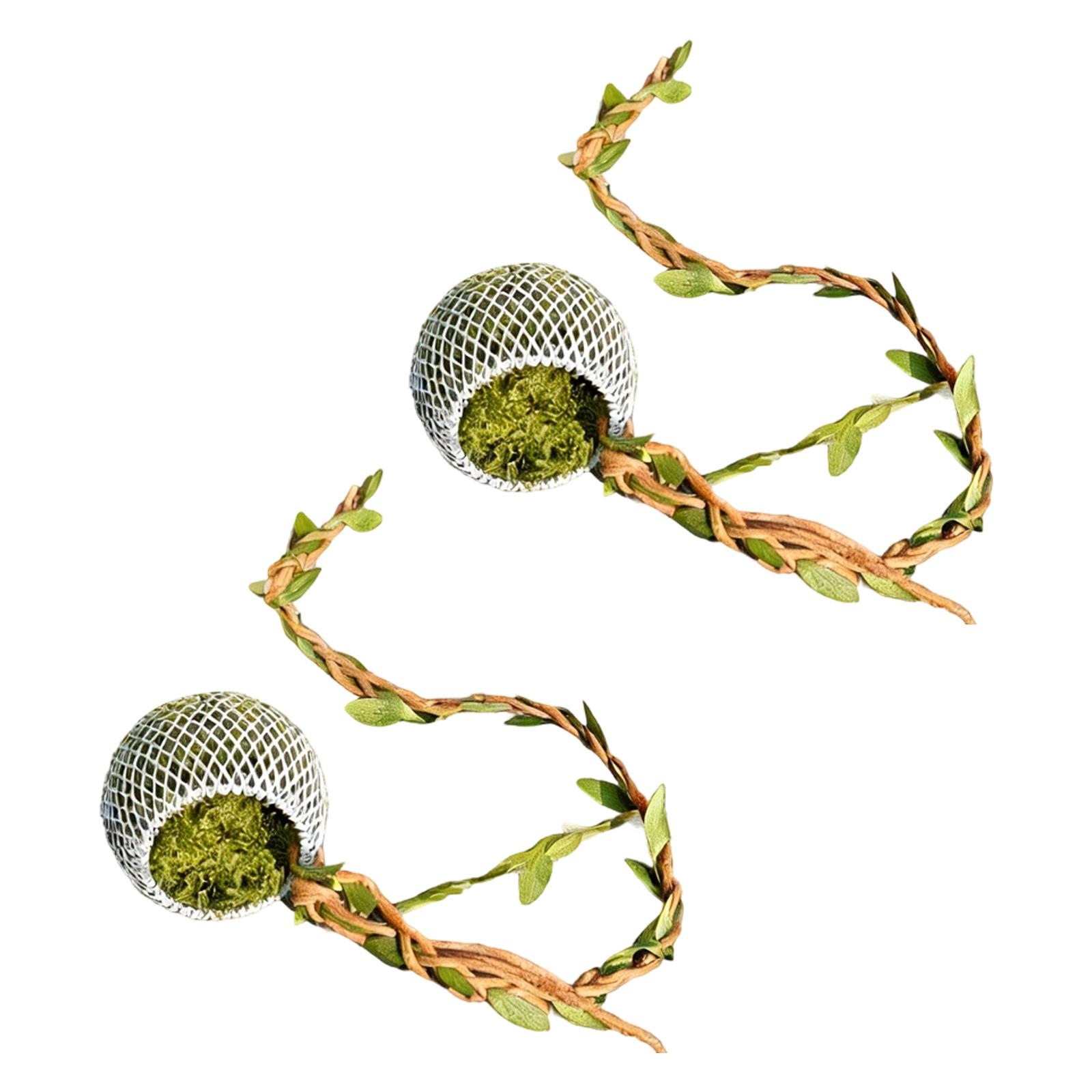MultiFunctional Jumping Spiders Magnetic Enclosure Hideouts Box For Amphibian Reptiles Ensuring Safe Natural Environment
