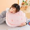 Plush Pillow With Soft Plush Filling For Kids And Teens Gift