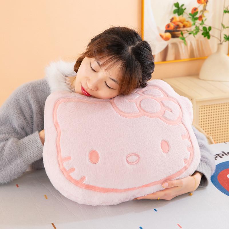 Plush Pillow With Soft Plush Filling For Kids And Teens Gift
