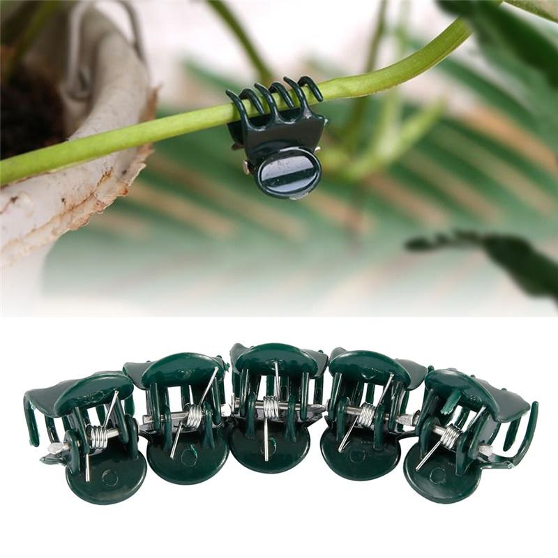 100PCS Plastic Plant Support Clips Orchid Stem Clip for Vine Support Vegetables Flower Tied Bundle Branch Clamping Garden Tool
