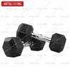ART&LIVING Hexagonal Rubber-Coated Cast Iron Dumbbell