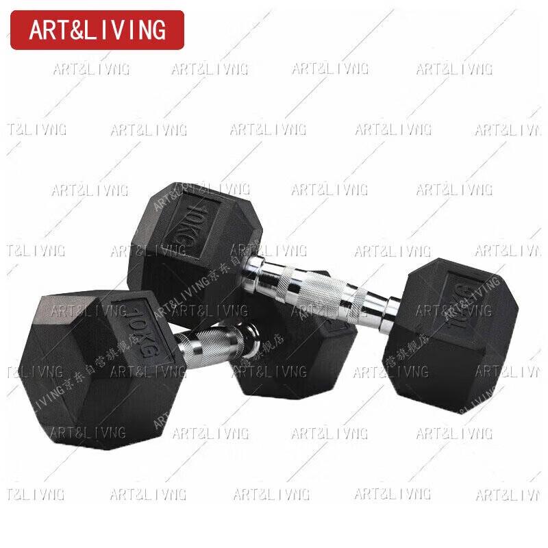 ART&LIVING Hexagonal Rubber-Coated Cast Iron Dumbbell