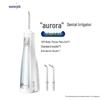 Waterpik Portable Water Flosser GS5
