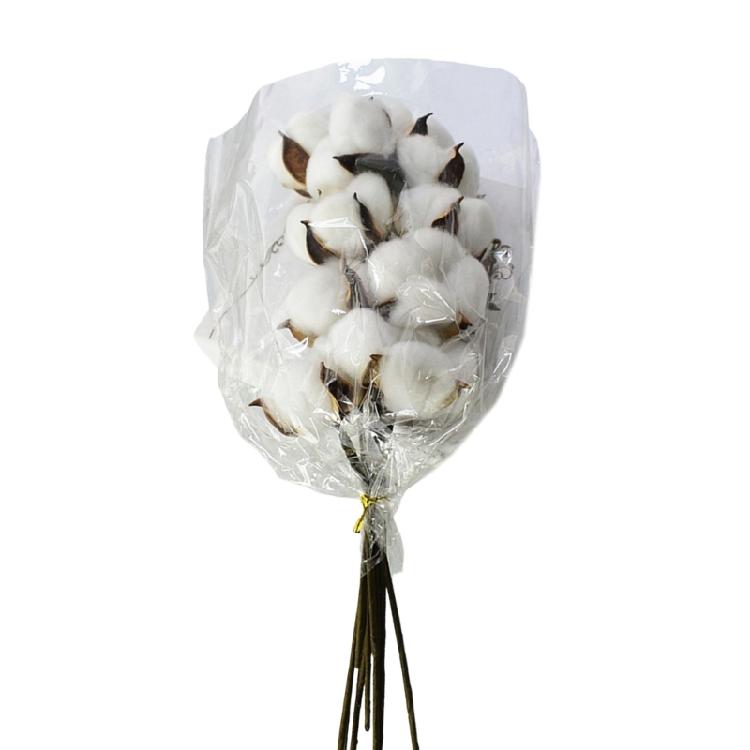10Pcs User Friendly Dried Cotton Blooms Cotton Flower Decoration for Table Centerpieces and Craft Projects белый