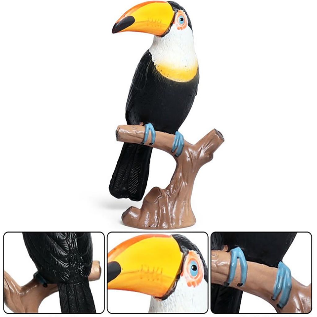 Lebensechtes Kinder Wildtier Tukan Modell Kunststoff Simulierte Spielzeug