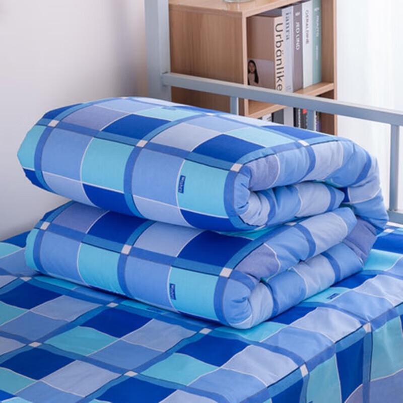Thickened Warm Dormitory Bedding Set Standard