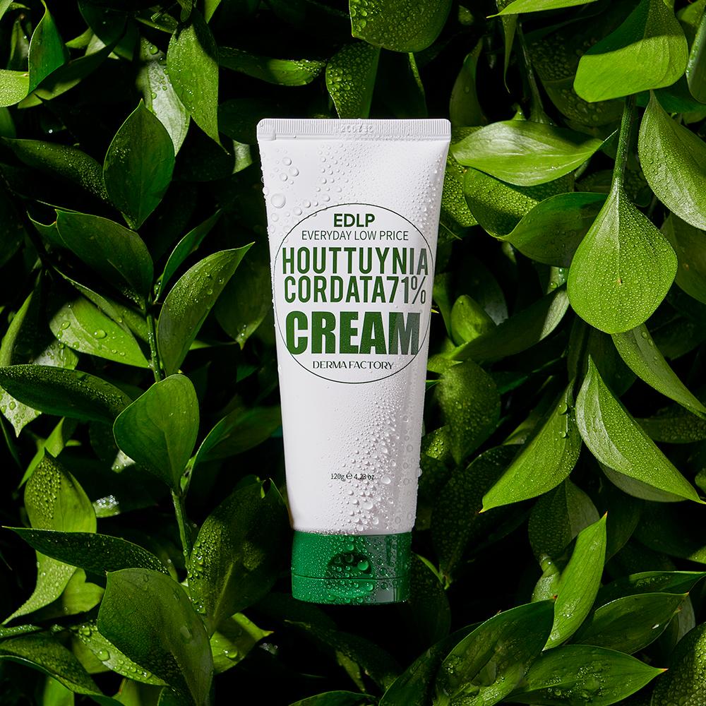 DERMA FACTORY EDLP Houttuynia Cordata 71% Hydrating Cream 120g – Intensive Soothing & Moisture Lock, Vegan, Korean