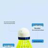 Badminton Solo Rebound Trainer Kit