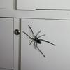 Ragno Decorativo in Plastica, Scherzo di Halloween, Ragno Gigante Spaventoso per Scherzi, Ragno Finto per Decorazione Casa, Vetrine e Regalo Scherzoso