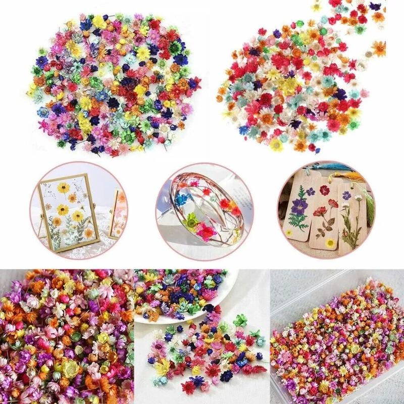Dried Flowers Set for DIY Crafts Epoxy Resin Jewelry Making Candle Decoration Glass Art Pressed Natural Flowers Kit Wedding