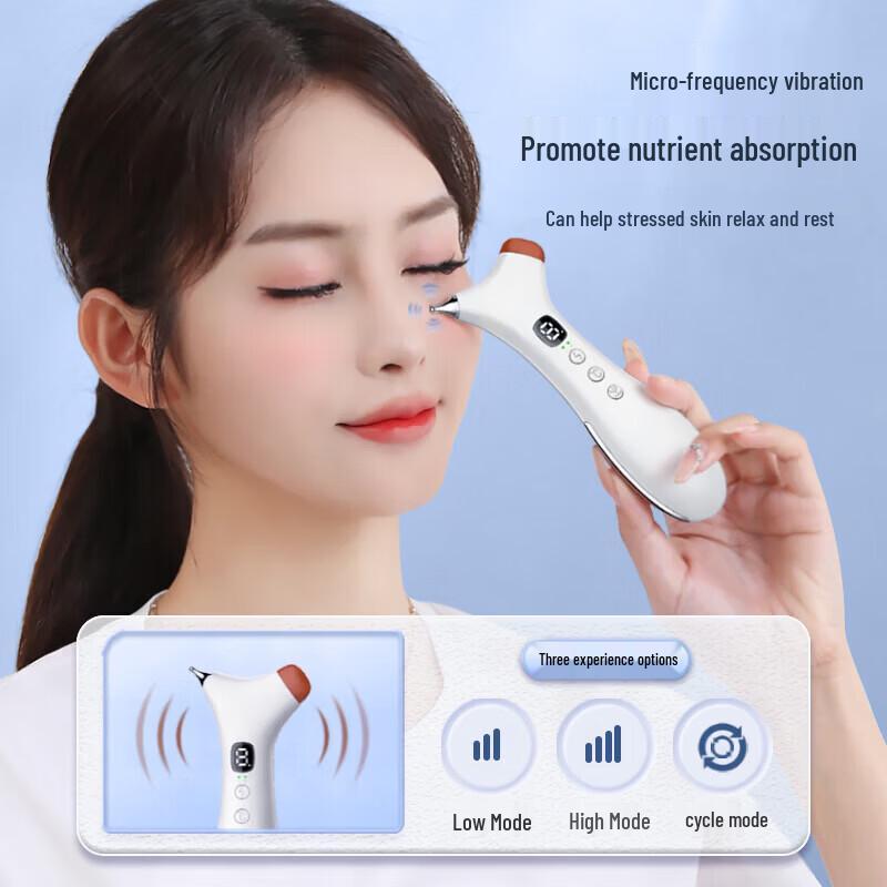 Ruichu Electronic Acupoint Meridian Massager CN plug (adapter included)