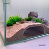 Roomajad – Roomajate terraariumid