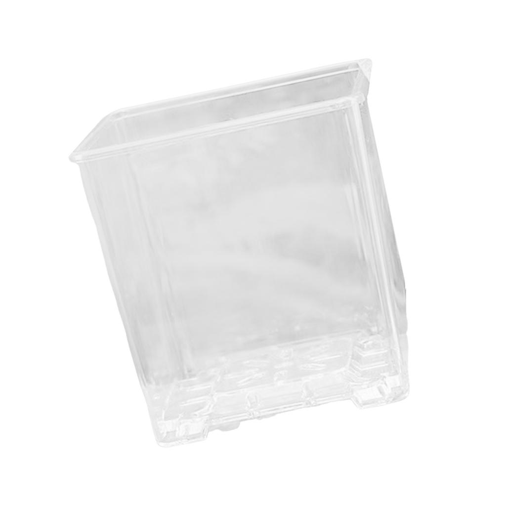 Clear Breathable Plant Container Desktop Ornament Planter Plant Pot Crafts Decors Planter Landscape Crafts