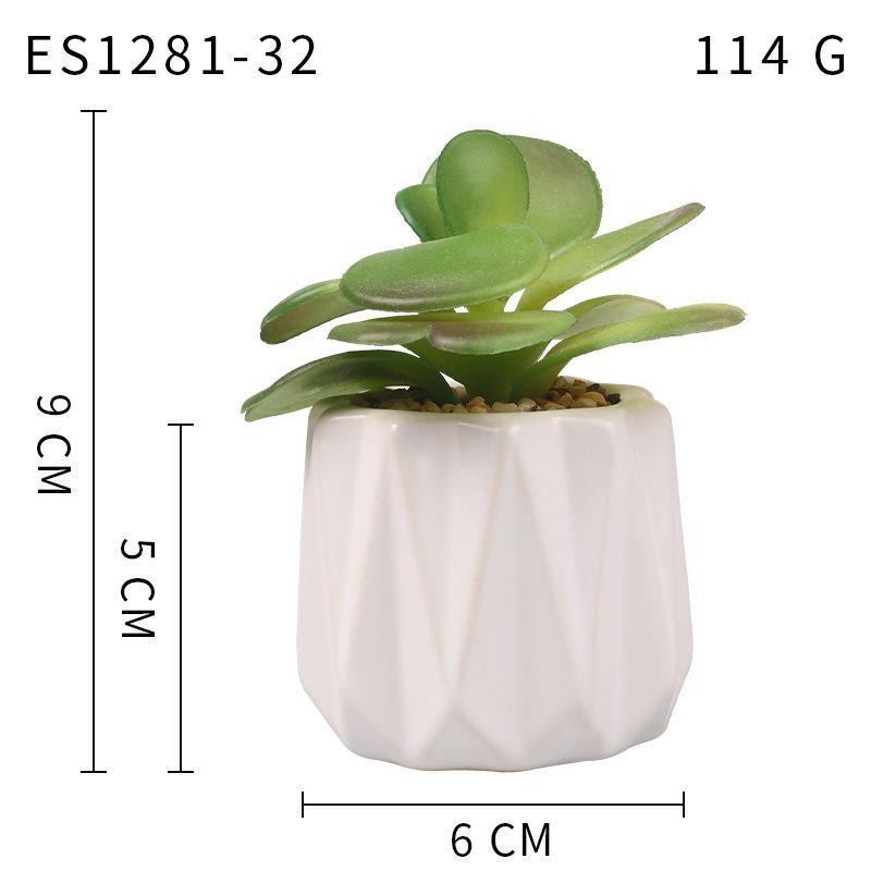 Small, Wavy Cup-Shaped Simulated Succulent Plant Potted Plant, Nordic Office Furniture Fresh Decoration