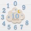 1‑Set Wooden Baby Monthly Milestone Cards, 1‑12 Months Growth Photo Props, Newborn Photography Sign, Holiday Gift