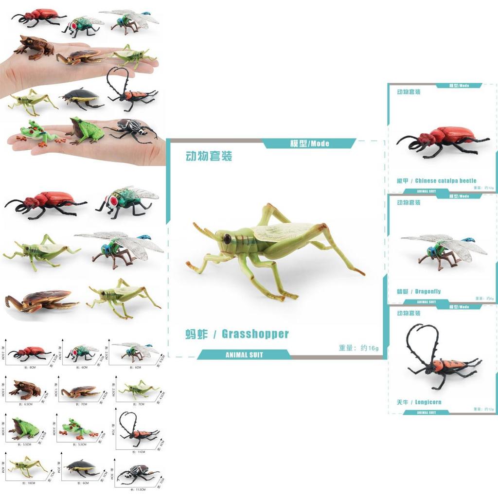 Realistic Pvc Insect Model Set Including Rhinoceros Beetle And Dragonfly For Decoration