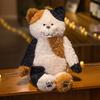 Cute Tea Rice Cat Plush Toy Black And White Splicing Plush Kawaii Cat Sleeping Leg Doll Festival Gift For Children Birthday Gift