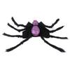 Cat SpiderCostume Photography Outfit Small Medium Dog Halloween Novelty Costume