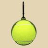 Standard Tennis Ball Holder with Carabiner for Training Walking Tennis Play