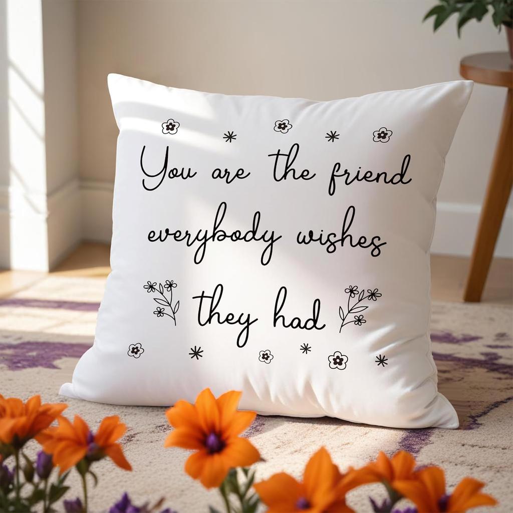 Friend Pillow Covers 18x18, Friends Gifts, Bestie BFF Gifts, Gifts for Friends, Friendship Gifts for Women, You Are The Friend Everybody Es They Had