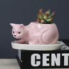 Cute Cat Ceramic Succulent Planter with Tray - Creative Animal Shape Flower Pot for Cactus/Bonsai/Indoor Plants - Home