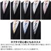 [RACHEL] Rachel Business Tie, Regular Size, Silk, Thick, No Ironing Required, for Commuting, Job Hunting, Suits, Father's Day, Christmas Gift