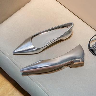 Silberne Pumps mit spitzer Zehenpartie und dickem Absatz für Damen, Frühling Herbst Neu, flacher Ausschnitt, Temperament, Retro, Pendler, niedriger Absatz, Einzelne Schuhe