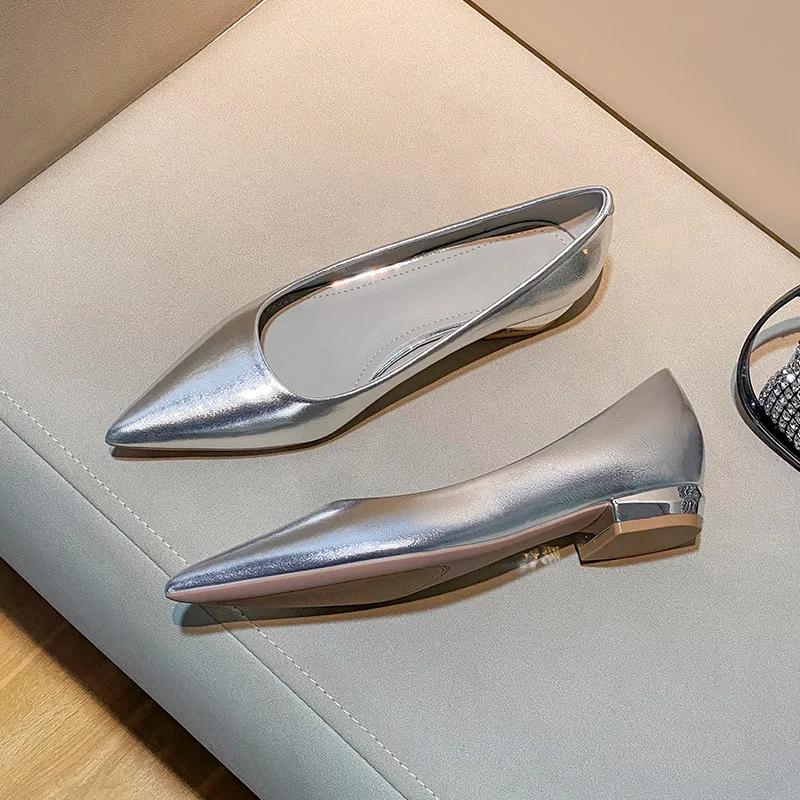 Fashion Silver Pointed Toe Thick Heel Women's Pumps Spring Autumn New Shallow Mouth Temperament Retro Commuter Low Heel Single Shoes
