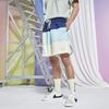 Nike Sports Shorts Men's Multicolor Thin DQ2427-382