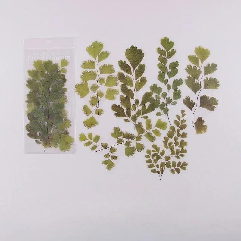 6pcs Vintage Dried Flower PET Sticker Decorative Diary Craft Scrapbook Planner Journal  Aesthetic Stationery