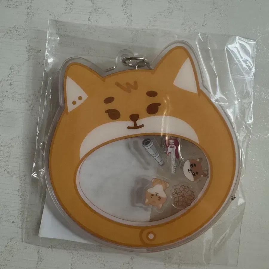 

DAY6 Фанмитинг Md Petite Mel s Shaker Keeling Ke