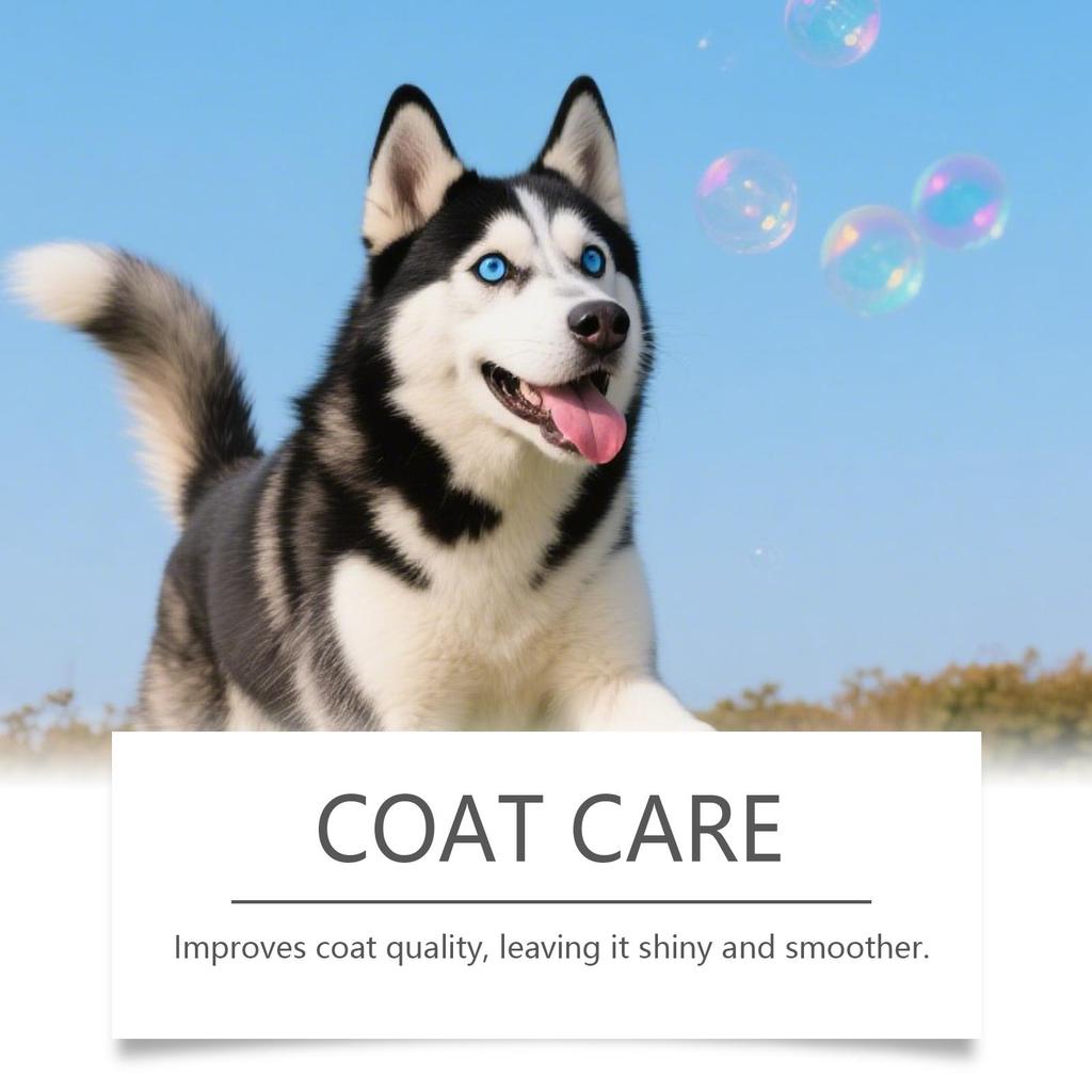 Kriath Honden Collageen Druppels, Milde Formule, Gewrichts-, Vacht- en Huidverzorging voor Honden, Voedingssupplement 60ml