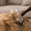 Pet Grooming Brush for Shedding and Cleaning with Soft Bristles and Ergonomic Handle Suitable for Dogs Cats and Small Animals