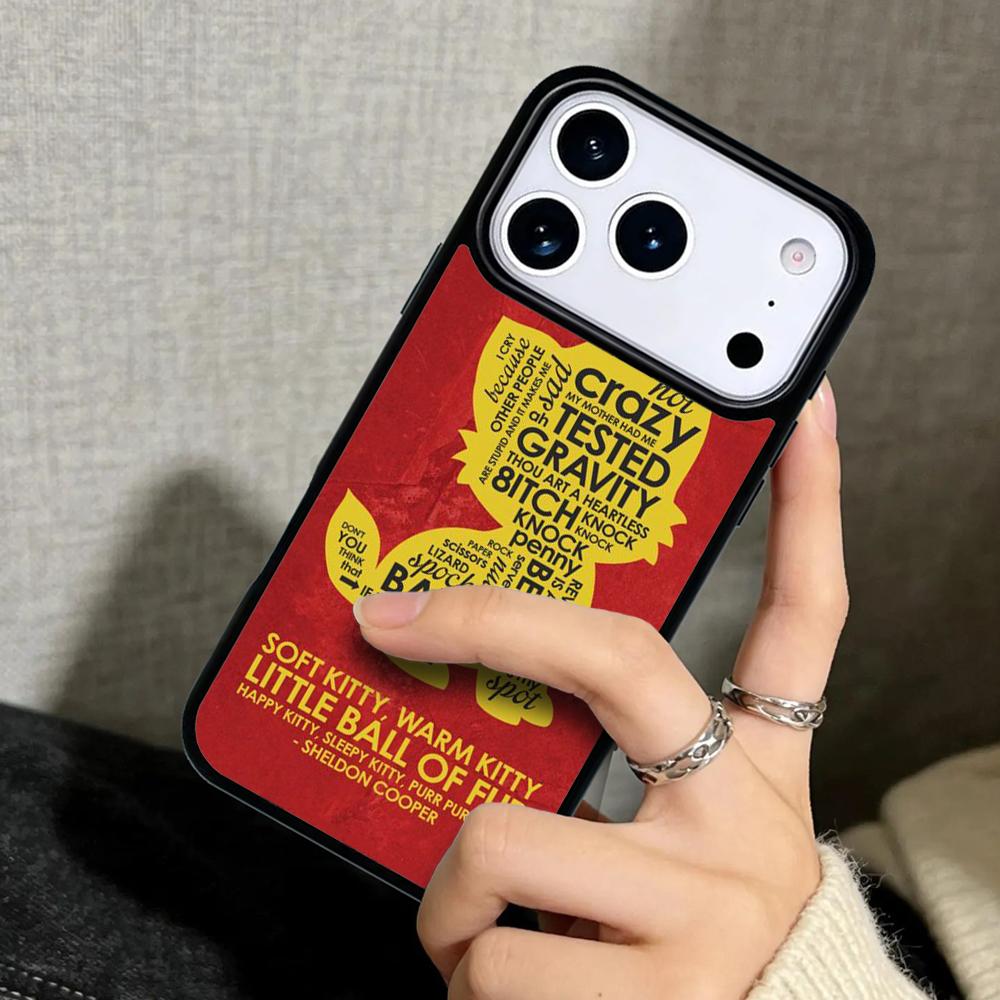 Capa Case for iPhone 17 Air 16 Pro Max 15 Plus 11 13 Mini 14 12 Back Phone Cover The Big Bang Theory