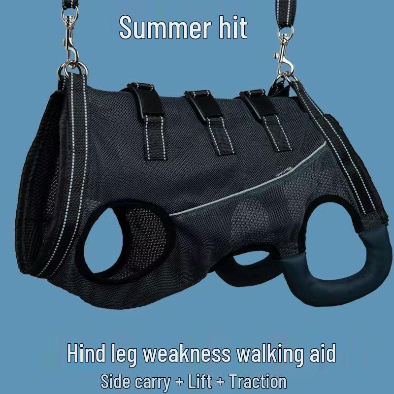 Pas wspierający tylną nogę starszego psa: Pomoc w poruszaniu się dla psów słabych lub kontuzjowanych