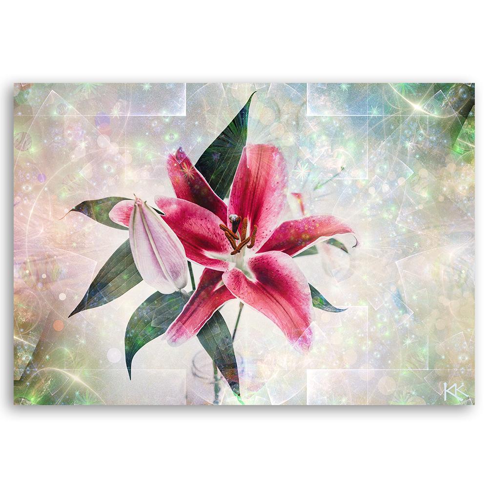 Canvas Print Pink Lily Flower