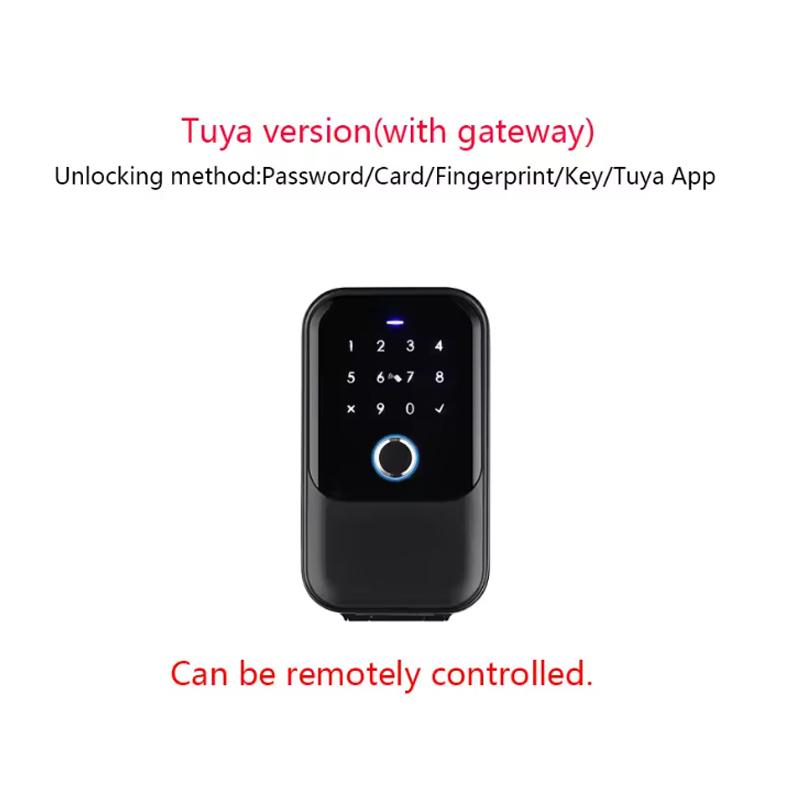 Tuya Smart Key Box Serratura Wireless Scatola Chiavi Elettronica Impermeabile IP65 Sblocco Impronta Digitale/ Password/ Carta/ Impronta Digitale/ Chiave/ App