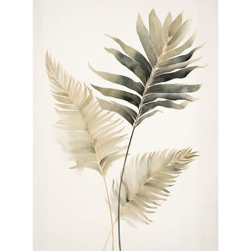 Egzotyczne Palmy Egzotyczne Palmy, 30X40 Cm, Rama Aluminiowa Czarna, Papier Matowy 230 Gsm