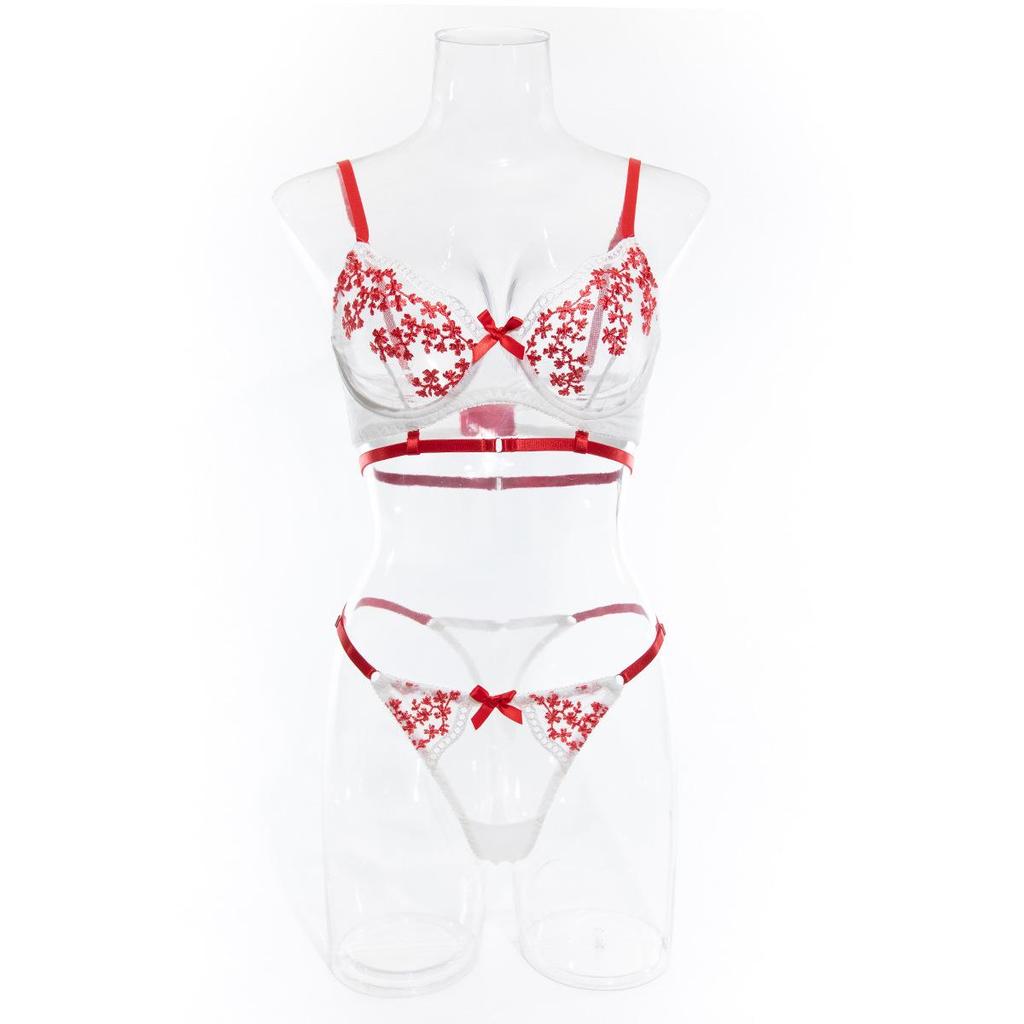 Sexy Průsvitná Vyšívaná Barevně Blokovaná Push-Up Lingerie Set