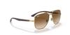 ARISTA 56 Sunglasses RB3683 Ray-Ban