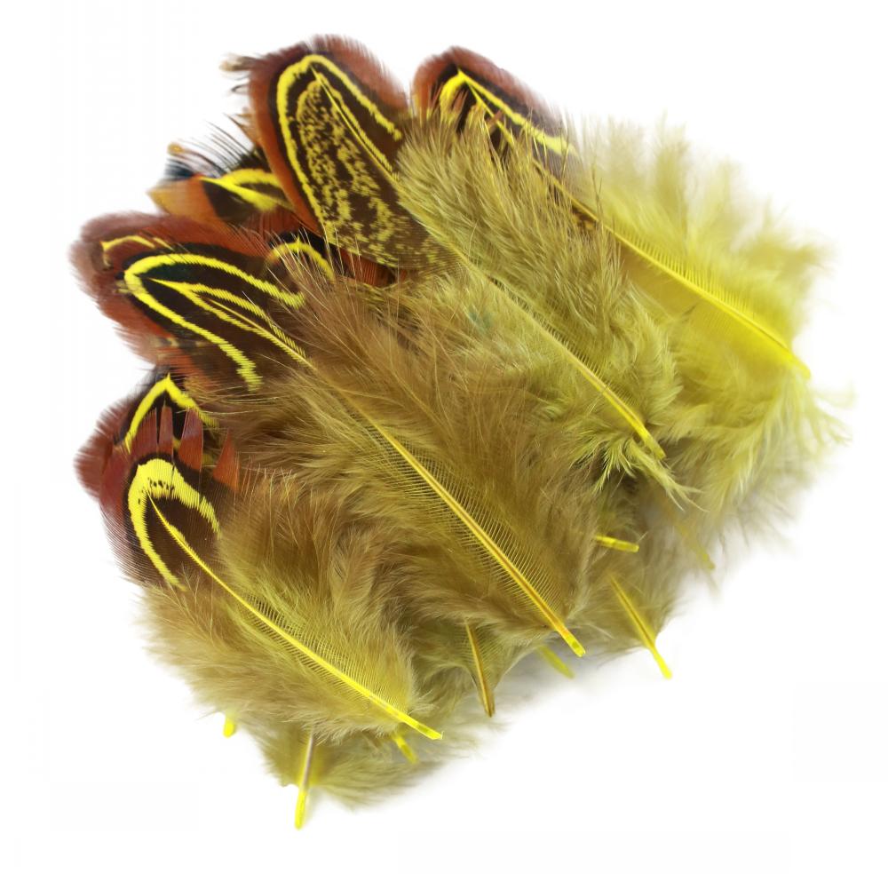 FeatherYellow Feathers for Crafts, 31 Styles Natural Pheasant, Rooster, Duck Feathers Bulk for Costume DIY, Fly Tying,Party Decoration