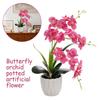 DIY Artificial Orchid Bonsai Multi-Bloom Artificial Faux Plants New Plastic Fake Flower  Home Decor