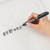 Pen Marker Special Ink Cartridges Handy S XNR3-A, Set of 10, Black