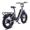 FAFREES F20 Master Electric Bicycle 20" 500W Motor Electric Bike Adult Top Speed 45Km/h 48V 22.5AH Range 160Km Load 150Kg