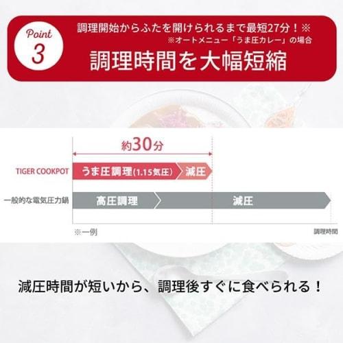 Tiger Electric Pressure Cooker, 2.2L, Time-Saving, Low-Temperature, Waterless Fermentation, Automatic Rice Cooking, Matte Black, COK-N220KM, Includes