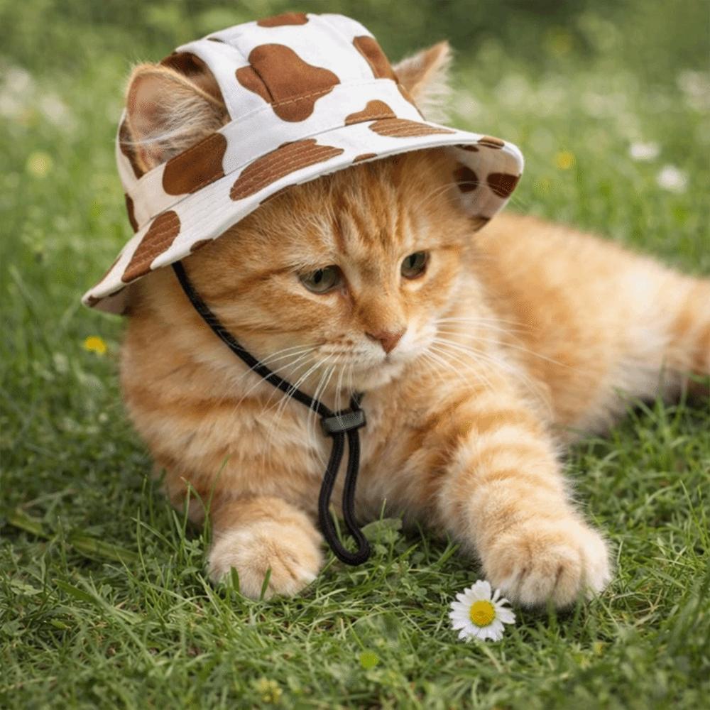 Adjustable Pet Sun Hat Breathable Pet Baseball Cap Fashion Dog Sunscreen Hat Walking