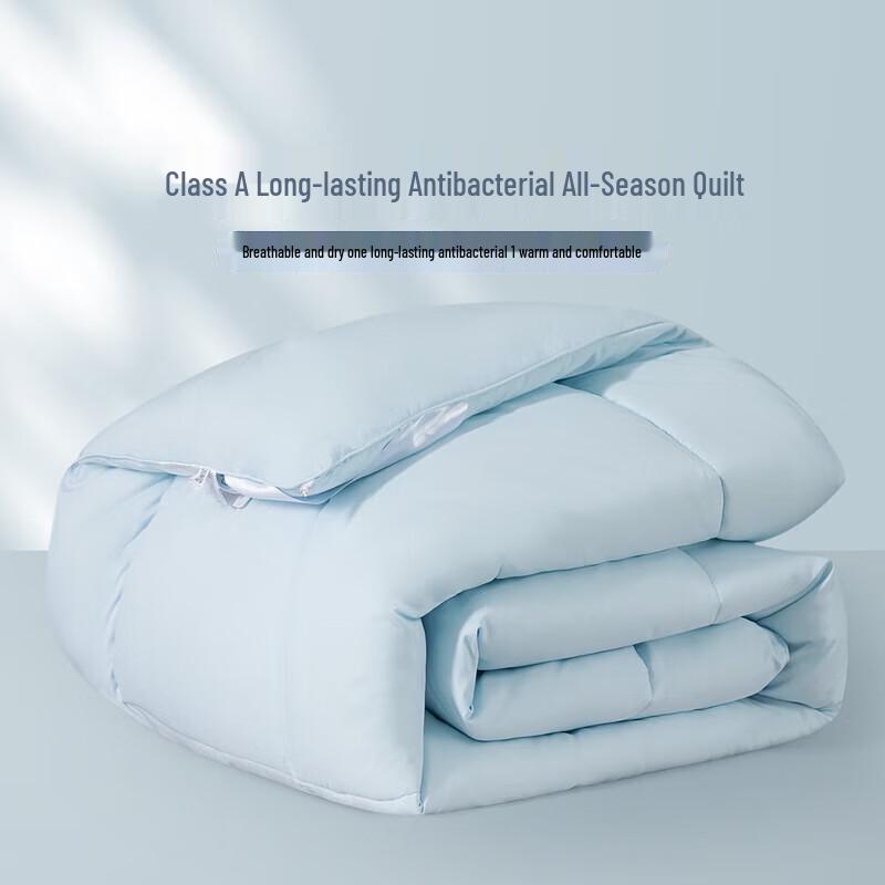 Mercury Home Textiles All-Season Antibacterial Duvet Insert
